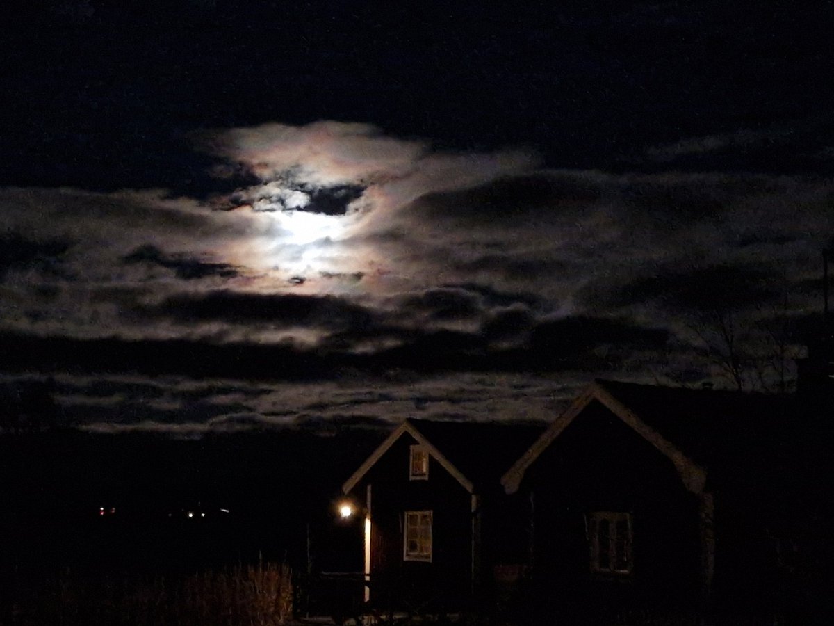 Stefan Olsson🏳️‍🌈❤🏳️‍🌈❤ tweet media