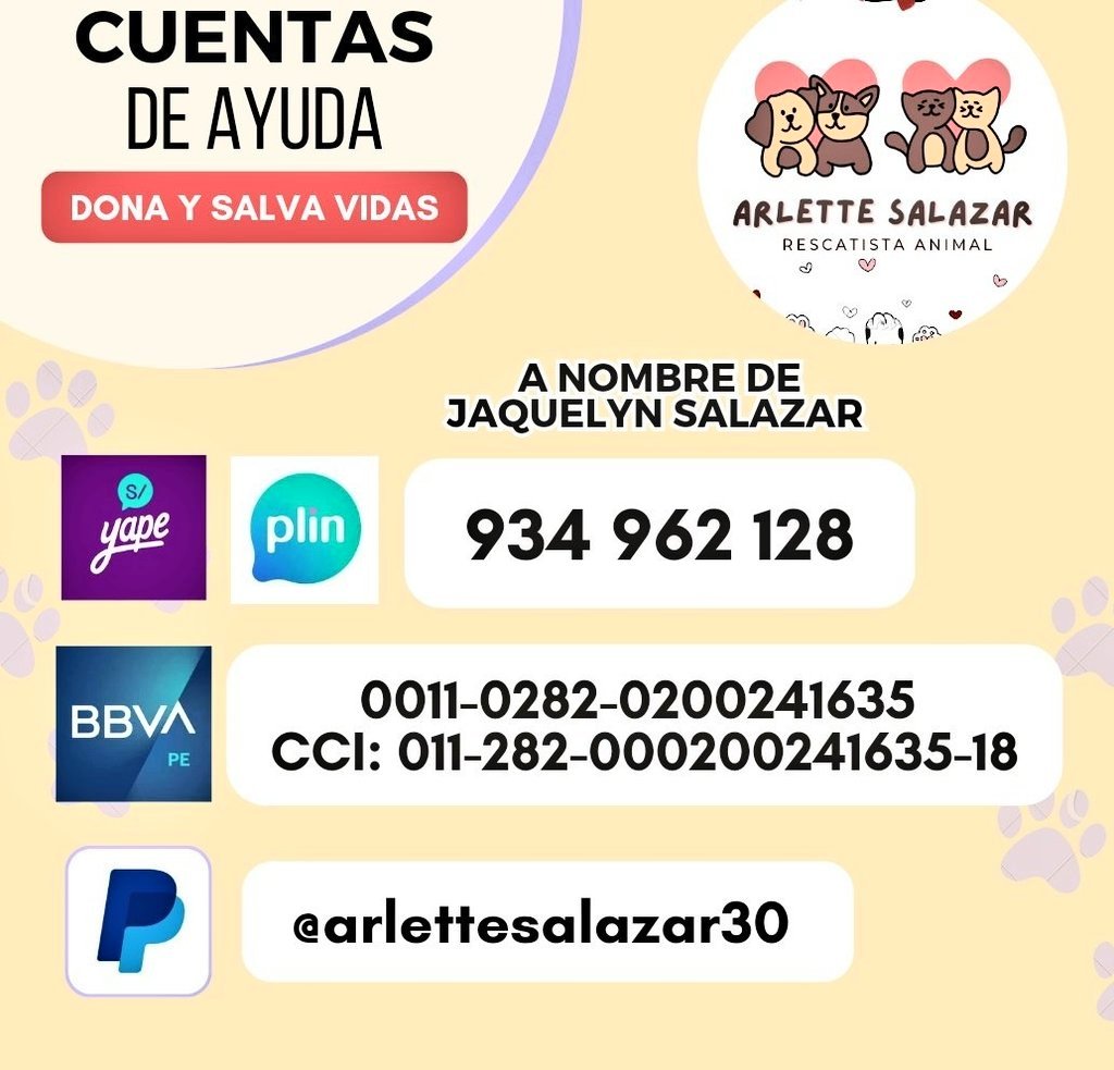 _arlettesalazar's tweet image. 4 to día : 
Se estancó la ayuda 🆘😿

Hemos logrado ¡710! Ya nos falta poco amigos porfavor todo suma necesitamos s/1040 para hacer la TRASFUSIÓN de sangre 🩸 e internarlo kiwi sigue esperando 😿

Yape/Plin 934962128 Jaquelyn Salazar 
Máxima difusión 🙏🏼