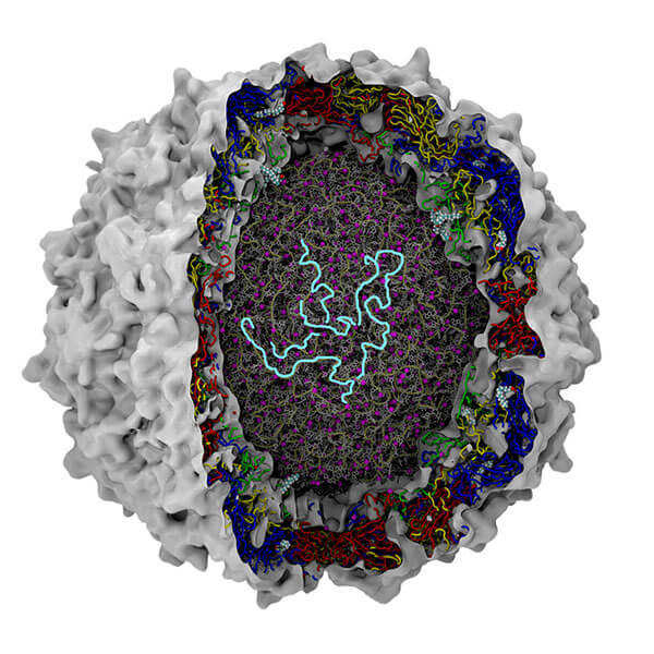 A scientist treated her own cancer, then published the findings.

🧵1/12