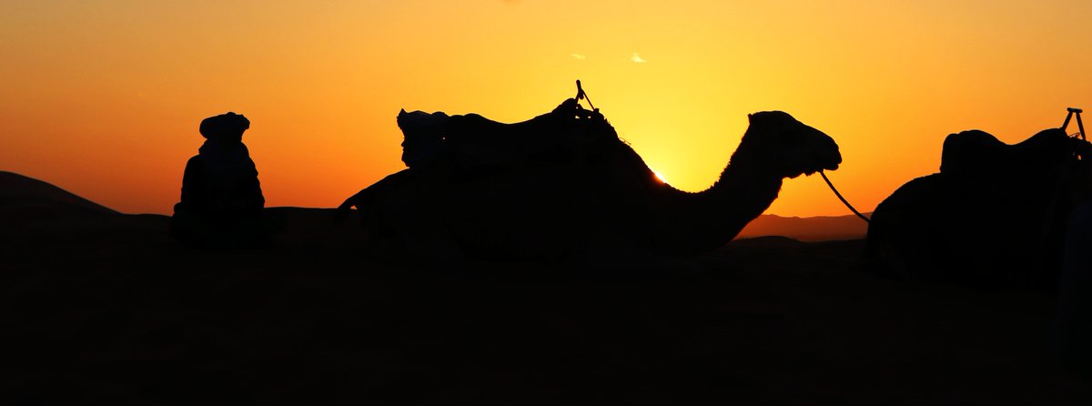 Qu'est-ce que l'on peut faire avec 5 SOL irl ? 🌴

Certains en profitent pour s'acheter des grilles pains, d'autres pour partir en vacances !

Voici un récap de mes deux semaines au Maroc pour vous donner envie de TP ce cycle

#Influenceurvoyage