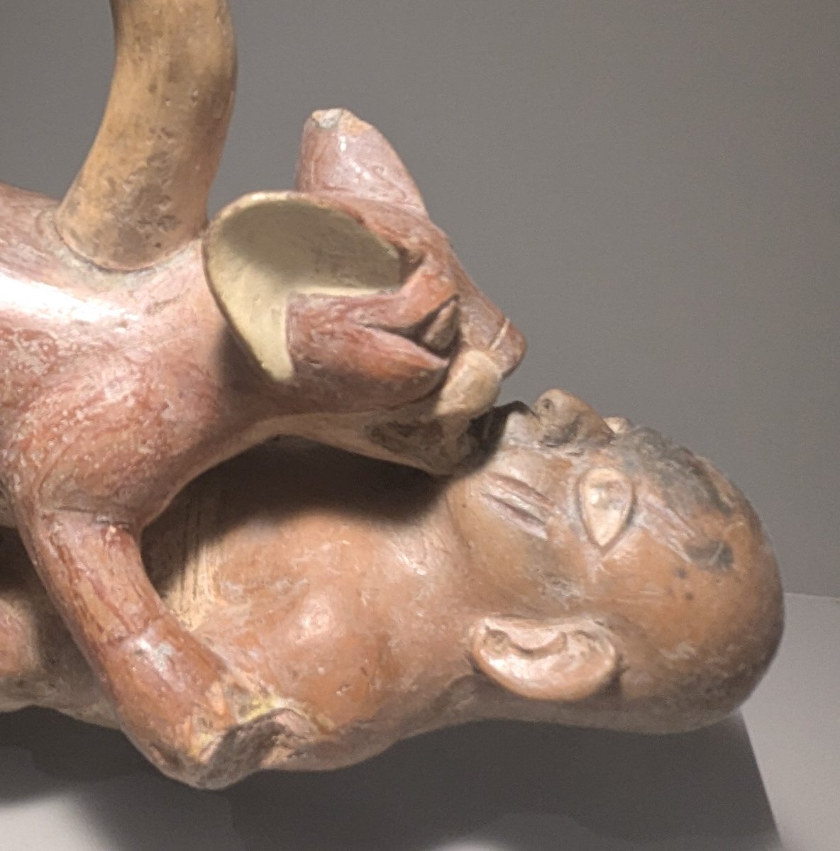 He didn't think the Jaguar would eat his face.