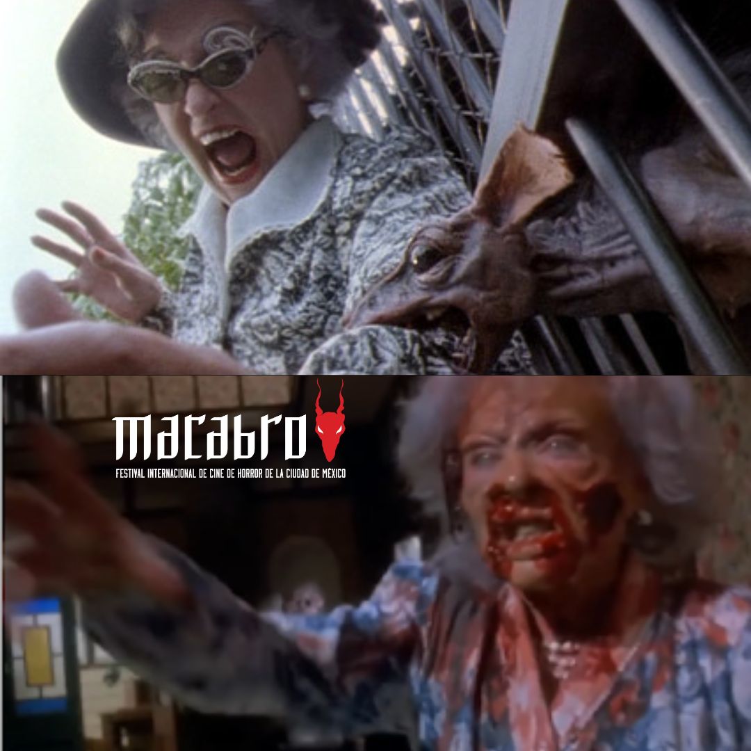 MacabroFICH's tweet photo. Domingo de ir al zoológico a ver a los monos de sumatra Banda Macabra, ¿Qué podría pasar? 👿
#slpastick #braindead #deadalive #peterjackson #gorefilms #zoo #sunday #domingo https://t.co/mOMGiwo2vX