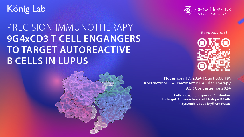 Max Konig (@maxkonigmd) on Twitter photo While at it, if you are interested in learning more about off-the-shelf precision immunotherapies for the treatment of lupus, please join our talk on 9G4xCD3 T cell-engaging antibodies during the SLE - Cellular Therapy Session at 3 PM. #ACR24 <a href="/HopkinsMedicine/">Johns Hopkins Medicine</a> <a href="/jhrheumatology/">Johns Hopkins Rheumatology</a> While at it, if you are interested in learning more about off-the-shelf precision immunotherapies for the treatment of lupus, please join our talk on 9G4xCD3 T cell-engaging antibodies during the SLE - Cellular Therapy Session at 3 PM. #ACR24 <a href="/HopkinsMedicine/">Johns Hopkins Medicine</a> <a href="/jhrheumatology/">Johns Hopkins Rheumatology</a>