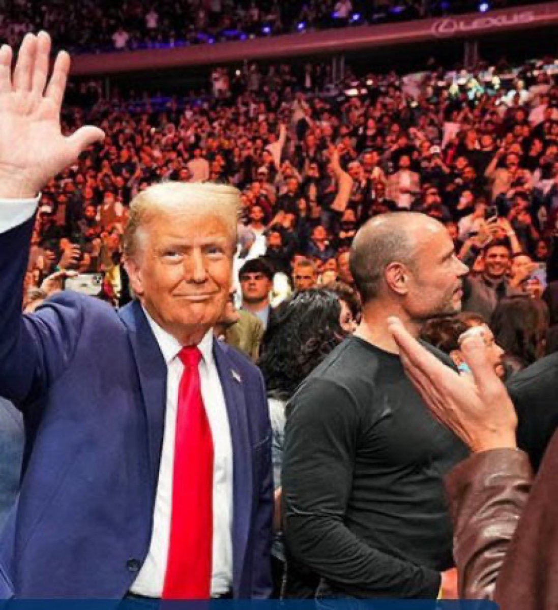 dbongino's tweet photo. Instincts always kick in. 🇺🇸 https://t.co/kLYewKhUh9