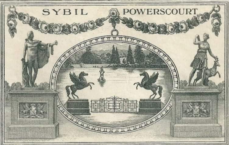 Patrick Hawe tweet media