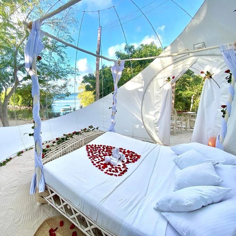 AlikaAdventures's tweet photo. Watamu Tamu is calling!
Rock and Sea Watamu📌 is a luxury bubble ecolodge &amp; panoramic restaurant Unique sea view surrounded by unspoiled nature
Flying &amp; SGR Packages available
Email reservations@alikaadventures.com
Call/WhatsApp:0704357642/ 0745757252
#watamu #traveldestination https://t.co/rMwaTxZEIV