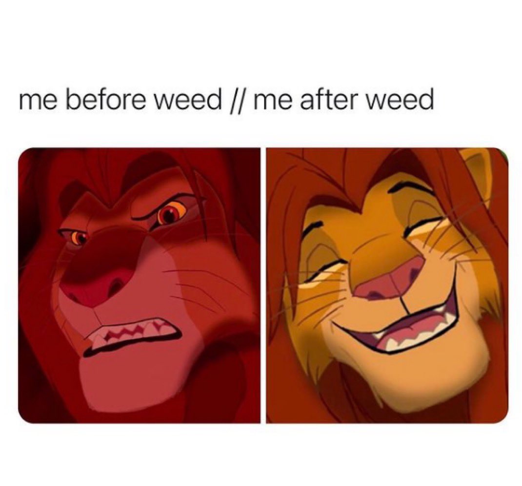 Stoner Barbie (@stonersvilla) on Twitter photo 