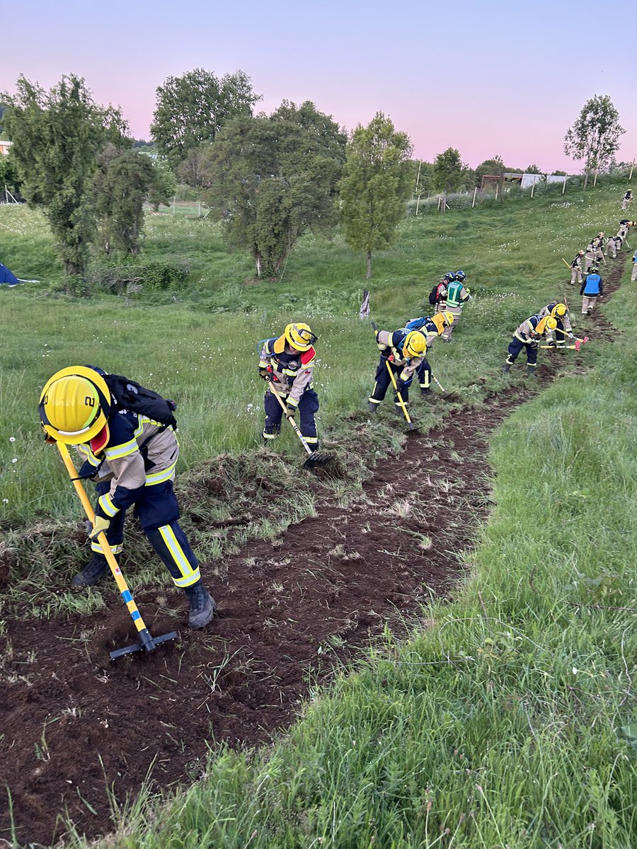 Unidad Forestal Pucón ( Rukapillan) tweet media