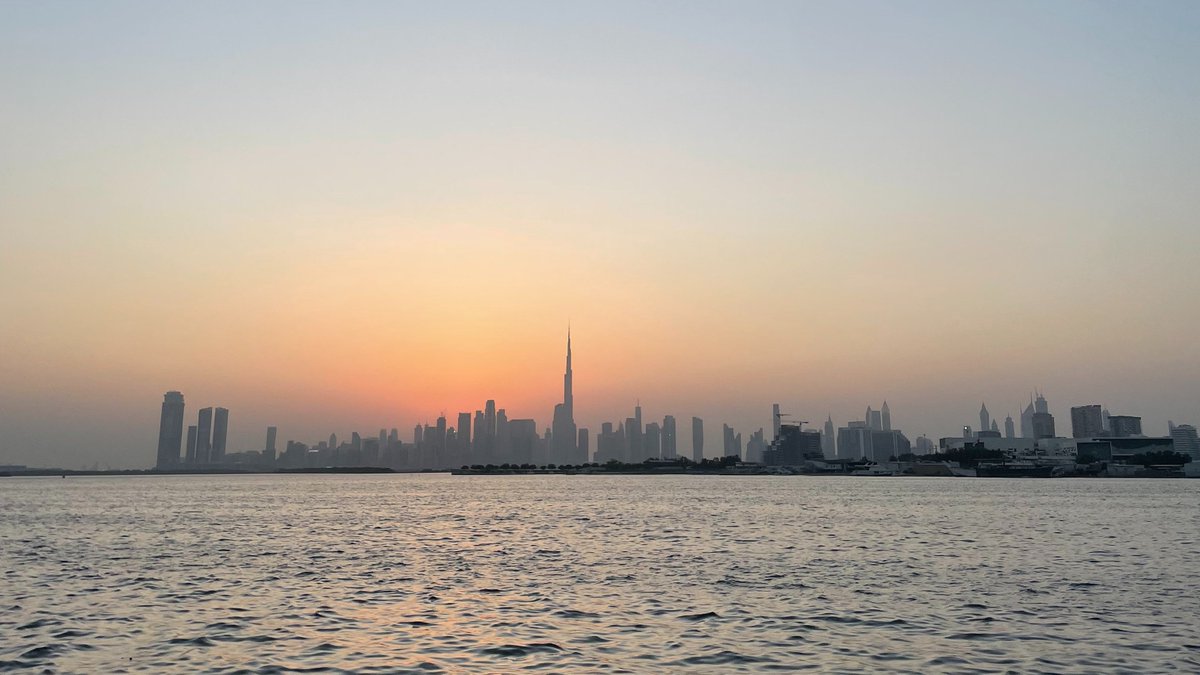 whalemaire tweet media