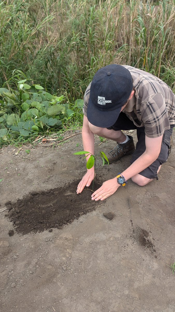 Last month, our conservation team went to Tanzania to continue some exciting work🌍 

It was a busy trip of meeting local farmers, planting trees and checking in on our wildlife monitoring projects!

Read the team's travel diary here: bristolzoo.org.uk/news/tanzania-…