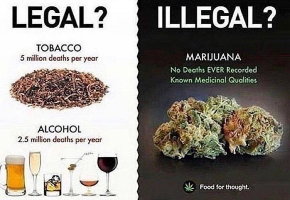 gaibhinn's tweet photo. Imagine if we regulated things by their harm:

- Cigarettes: 5M deaths/year
- Alcohol: 2.5M deaths/year

But no, we choose to criminalize a plant with zero recorded deaths. 

Isn't it time for a rethink? 🌿 #CannabisConundrum #ThinkDifferent https://t.co/ocFe8uQlnY