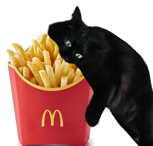 ChompyTheCat's tweet photo. @QuackoOnSolana $chompy likes fries... https://t.co/oTWDQFNCYD