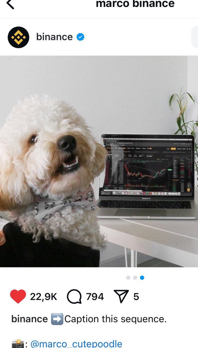 mistapiink's tweet photo. @binance can marco come home 2 @binance ? @cz_binance Chain: solana
CA: 9oWhmnZRD4sTBbCP42D317Yyzi1Z756Wvn58E5Tpump https://t.co/id1Z81vIAG