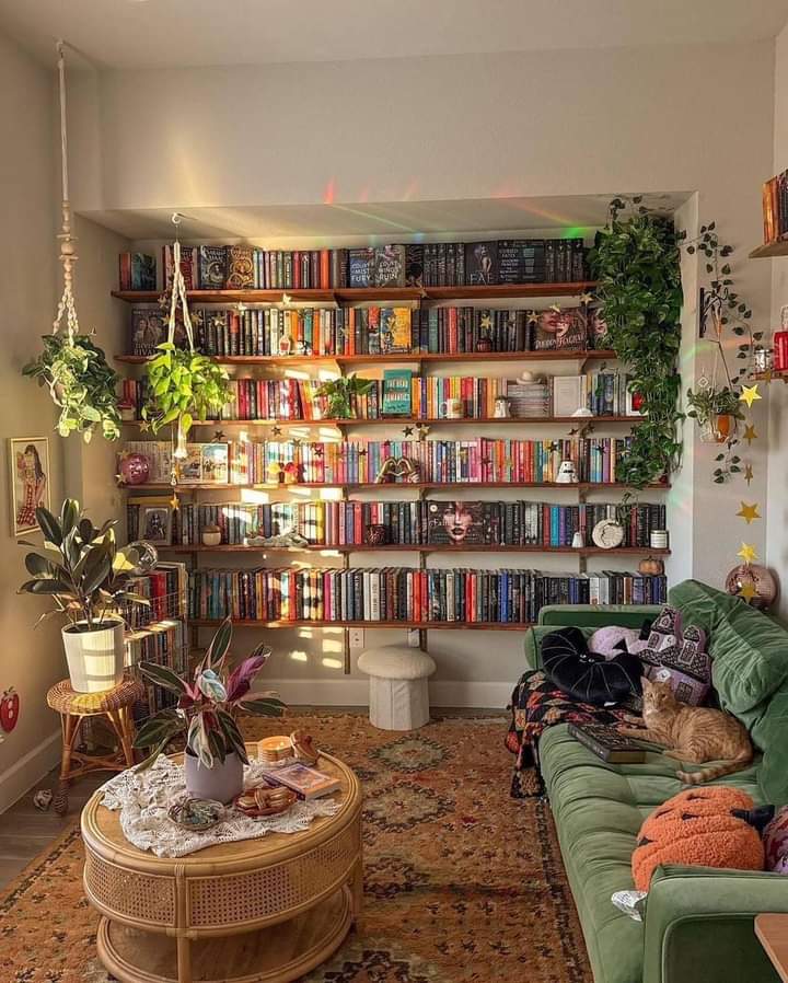 AsmaaTa51300666's tweet photo. Home Library 🪴📚 https://t.co/VTJtk5Oj5o
