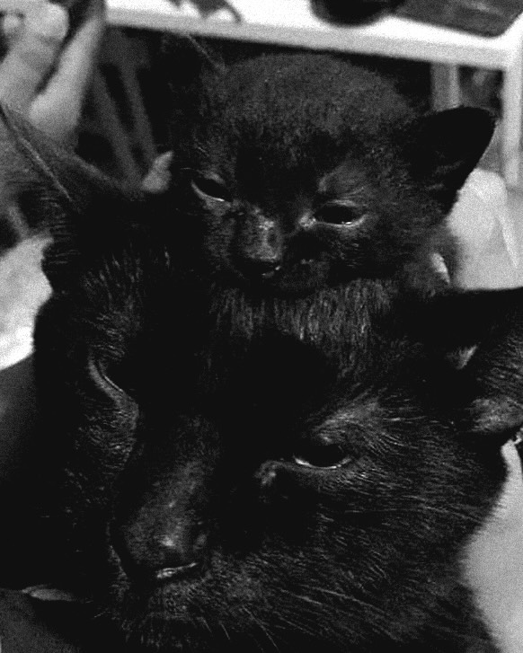 📸 - 241117

Ningning (imnotningning) Instagram update !

"🥶"

#NINGNING #닝닝 #aespa #에스파 <a href="/aespa_official/">aespa</a>