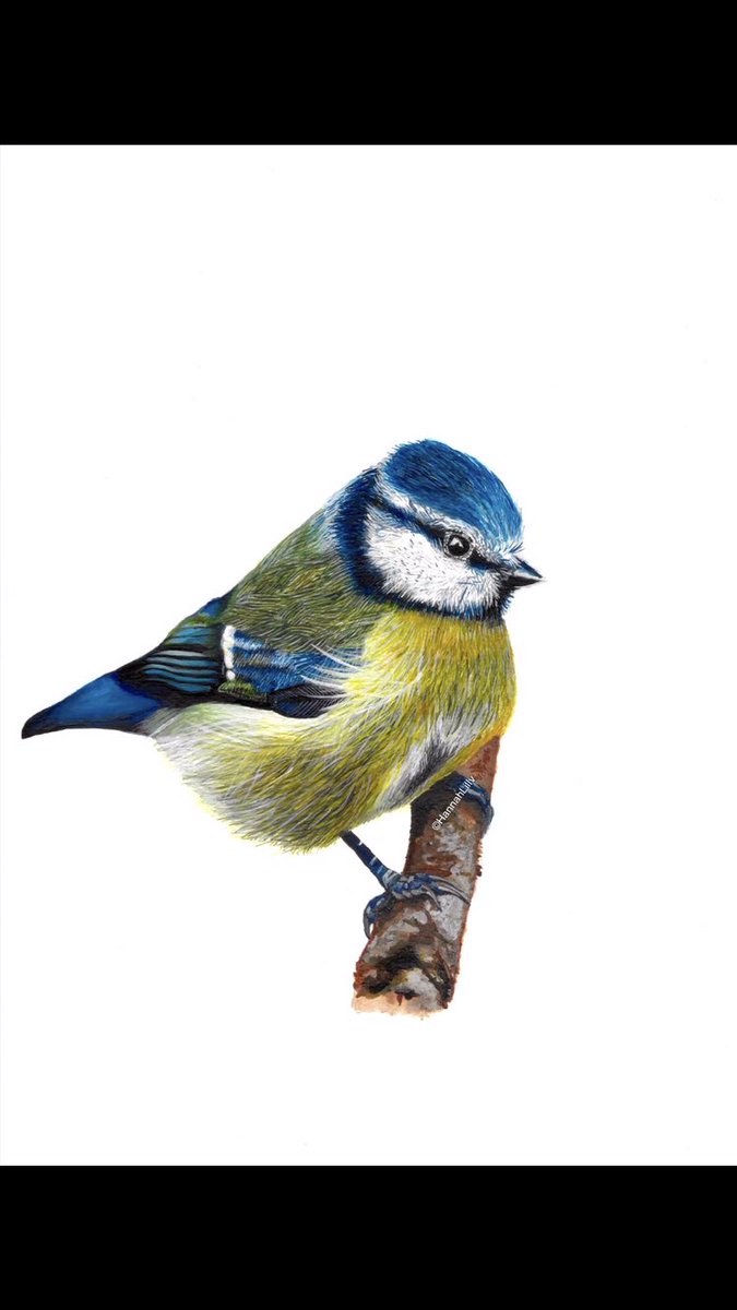 Hannah Lilly tweet media