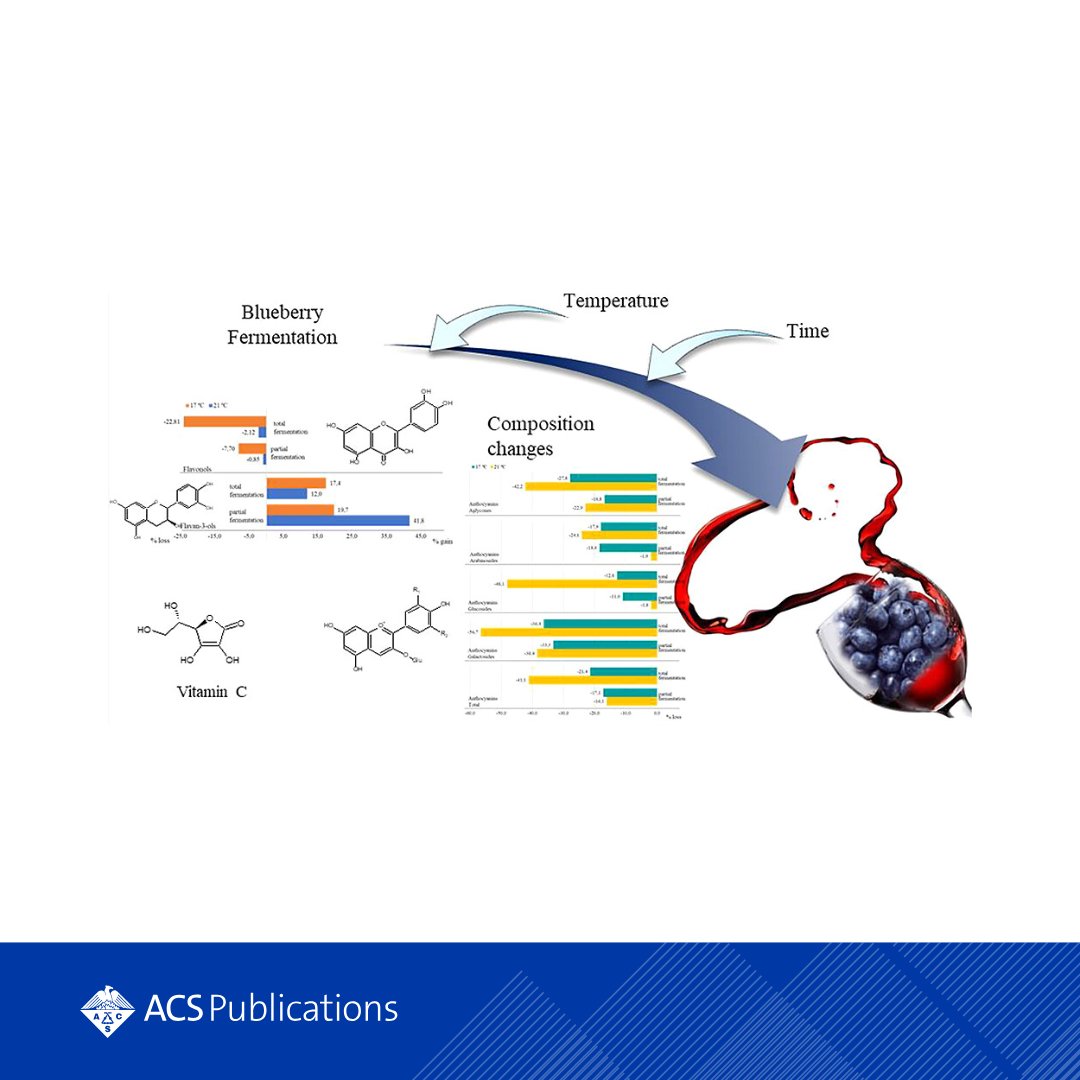 New research shows blueberry wine retains many nutrients from the fruit. Optimizing fermentation time &amp; temp can boost bioactive compounds &amp; antioxidant activity. 

Learn more from <a href="/JAgFoodChem/">ACS agricultural and food journals</a>: go.acs.org/bG0
