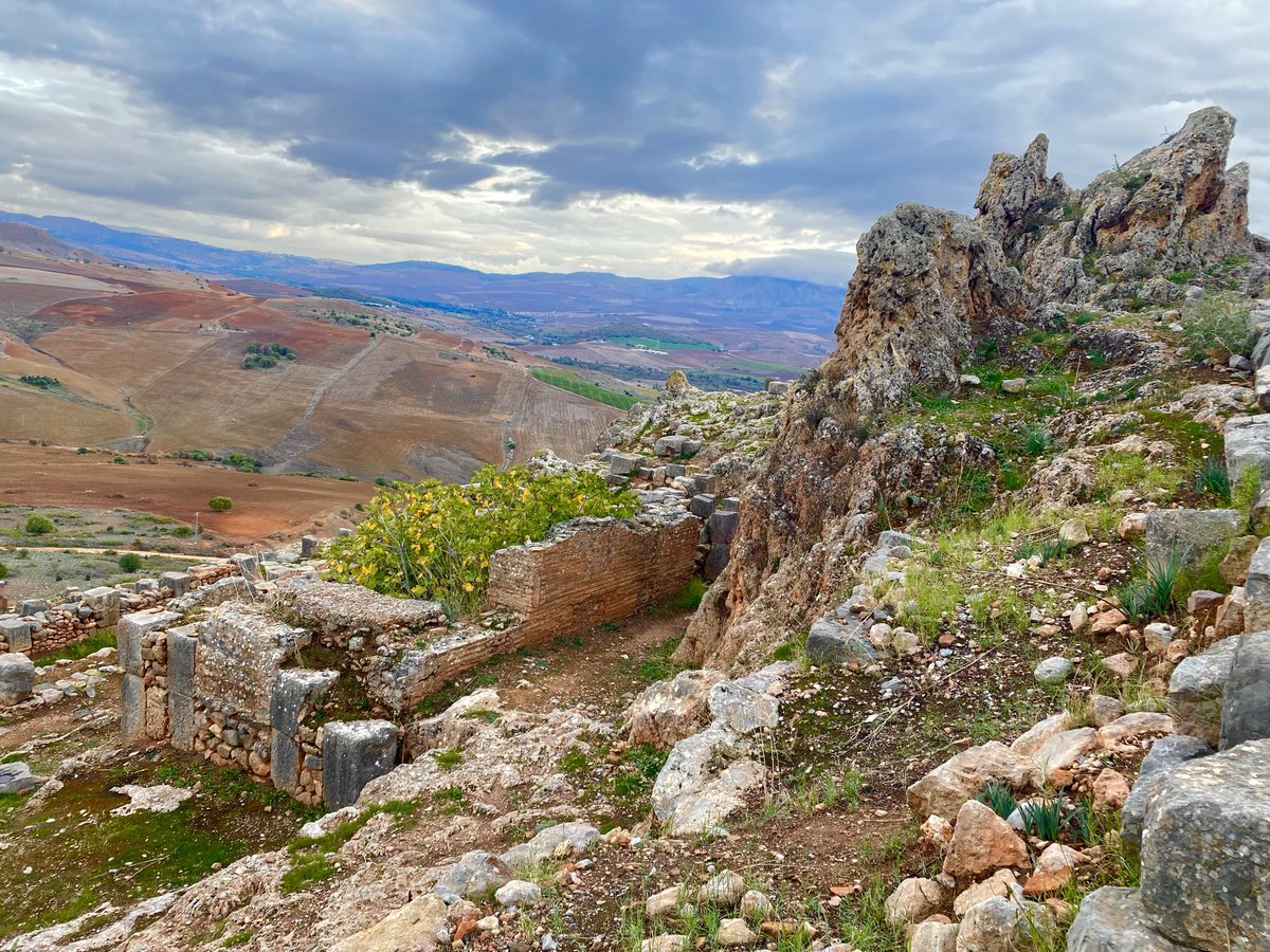 jjopperman's tweet image. Rock, the Casbah.