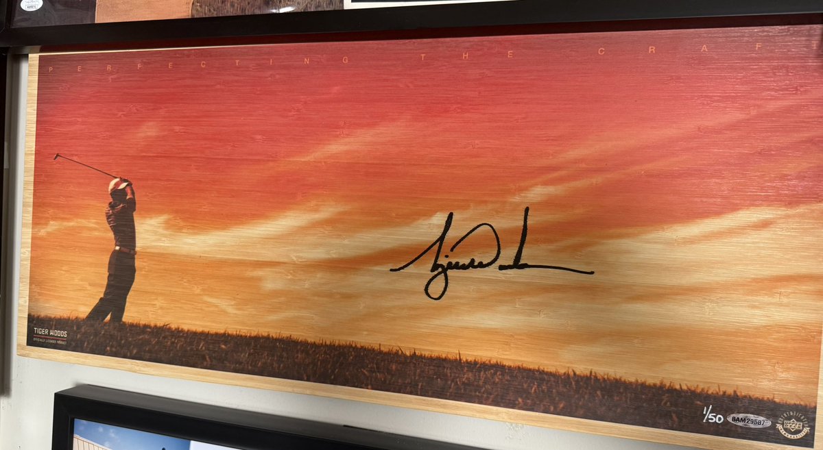bpmacphee's tweet image. @TigerWoods 1/50 26x11 @UpperDeckSports bamboo autograph #RSIO new addition.