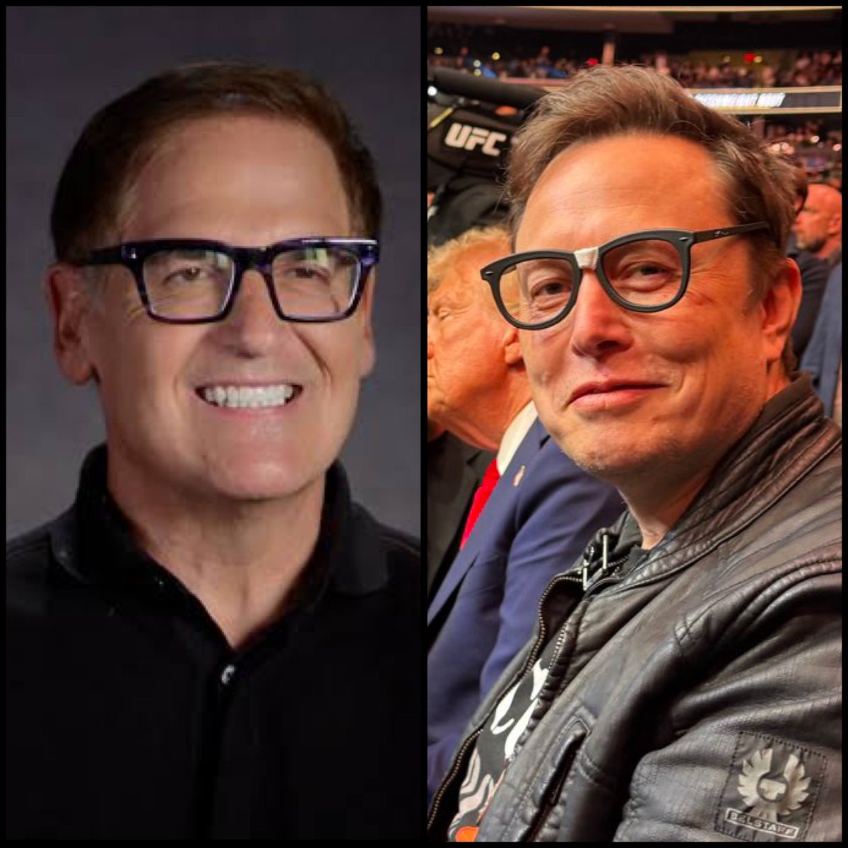 DogeDesigner tweet media