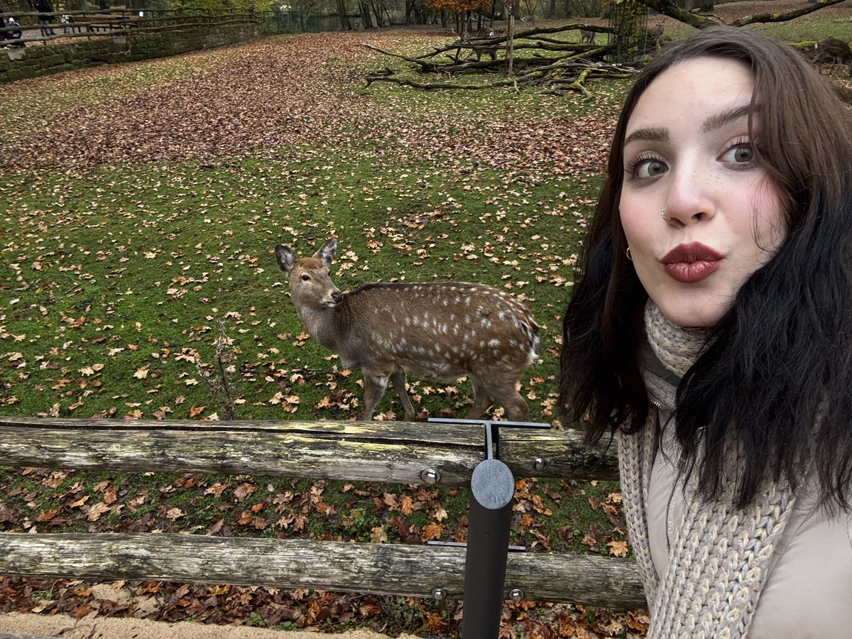 opsi ‎˚ ༘♡ ⋆｡˚ tweet media