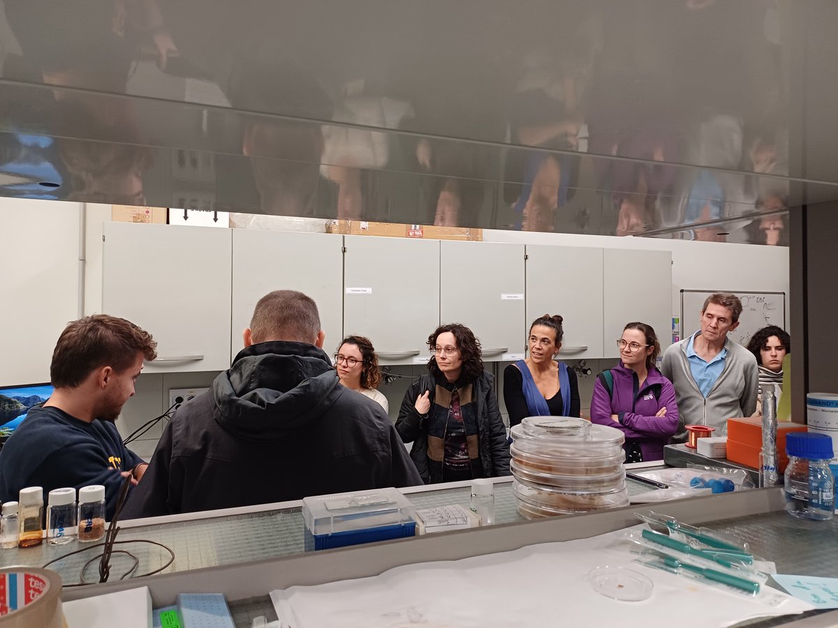 Catalan Institute of Nanoscience & Nanotechnology (@icn2nano) on Twitter photo 👨🏫 Aquesta setmana ens han visitat professors/es del #Nanoeduca 2024-25, que apropa la nanociència a alumnat i professorat d'ESO i Batx. Gràcies per venir!
🤝 El programa educatiu l'organitza: <a href="/UniBarcelona/">Universitat de Barcelona</a> <a href="/UABBarcelona/">Universitat Autònoma de Barcelona</a> i <a href="/idp_iceub/">idp-ub</a>
👀 Recursos: i.mtrbio.com/itnprptjli 👨🏫 Aquesta setmana ens han visitat professors/es del #Nanoeduca 2024-25, que apropa la nanociència a alumnat i professorat d'ESO i Batx. Gràcies per venir!
🤝 El programa educatiu l'organitza: <a href="/UniBarcelona/">Universitat de Barcelona</a> <a href="/UABBarcelona/">Universitat Autònoma de Barcelona</a> i <a href="/idp_iceub/">idp-ub</a>
👀 Recursos: i.mtrbio.com/itnprptjli