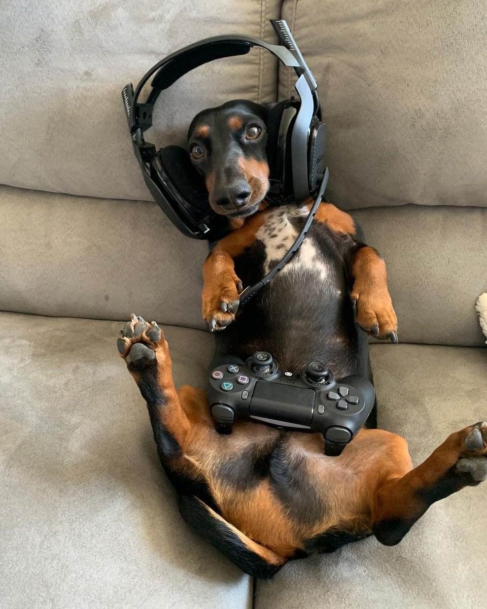 salsichinhas's tweet photo. Foda que ela é linda e eu sou apenas o

SALSICHA GAMER https://t.co/ZrASCbwYUR