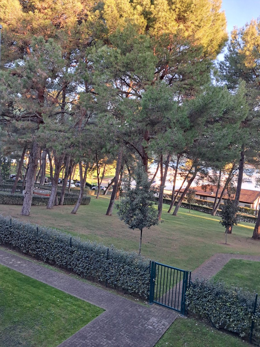 Beautiful #Croatia #Poreč #EuphrasianBasilica <a href="/UNESCO/">UNESCO 🏛️ #Education #Sciences #Culture 🇺🇳</a> #Croatia