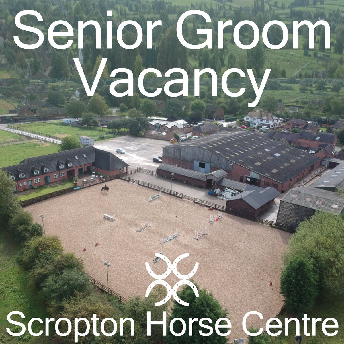 We’ve got a great opportunity for a Senior Groom to join our team here at Scropton Horse Centre 🐴
For more information visit scropton.com/join-our-team

#workingwithhorses #workingwithpeople #makeadifference