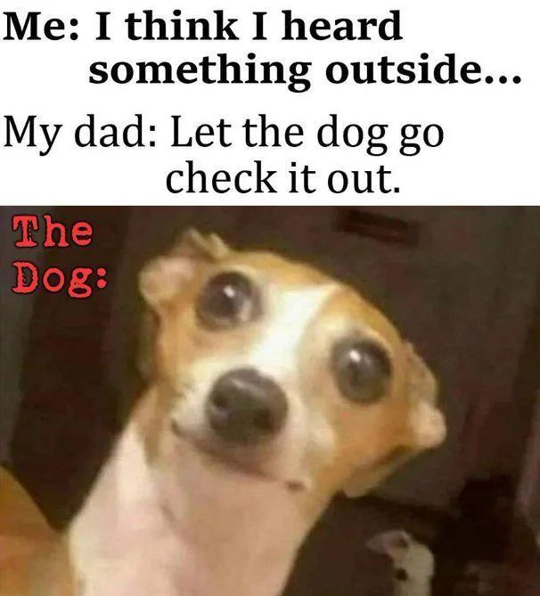 WholesomeMemes tweet media