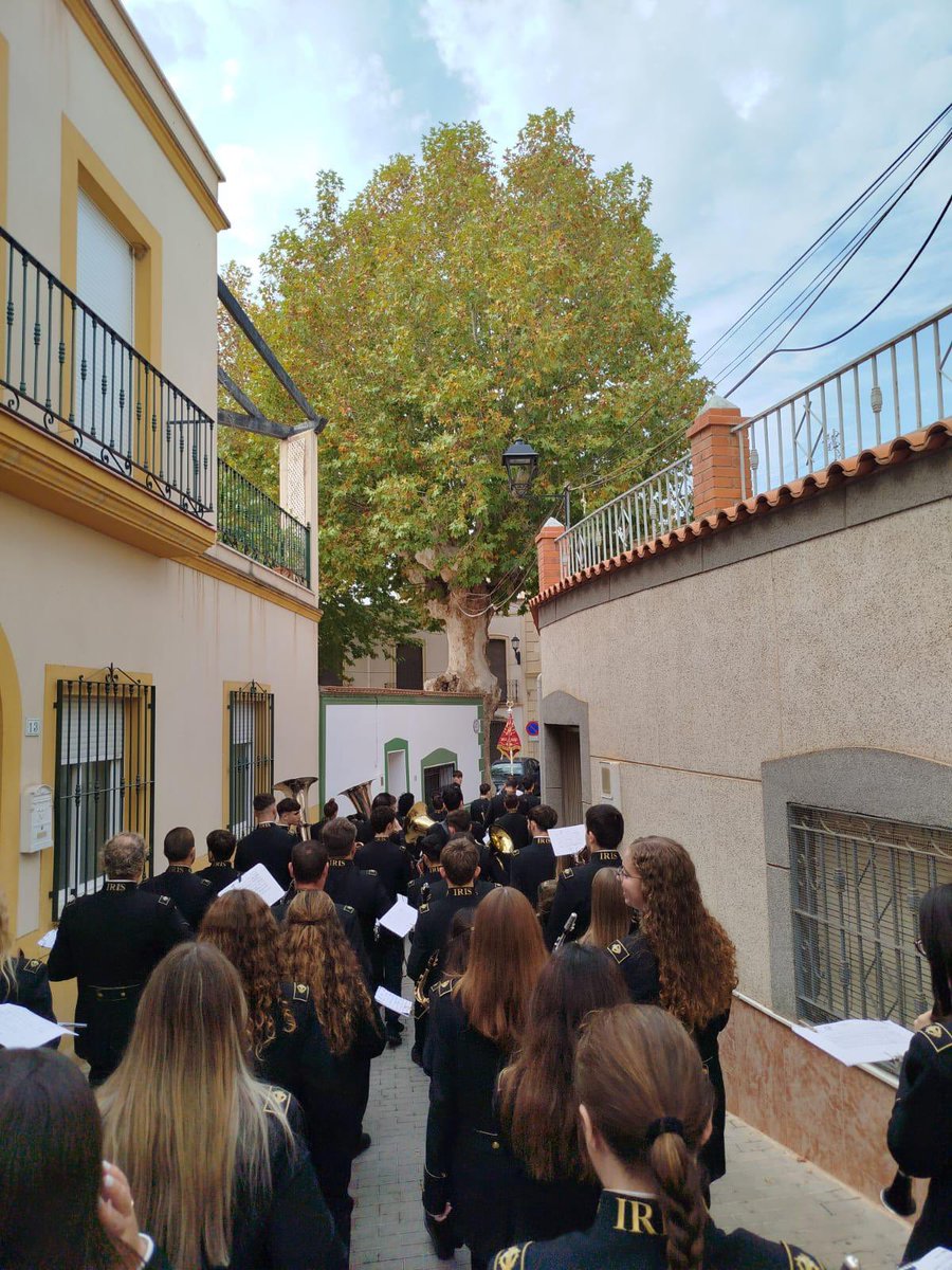 Los Iris tweet media