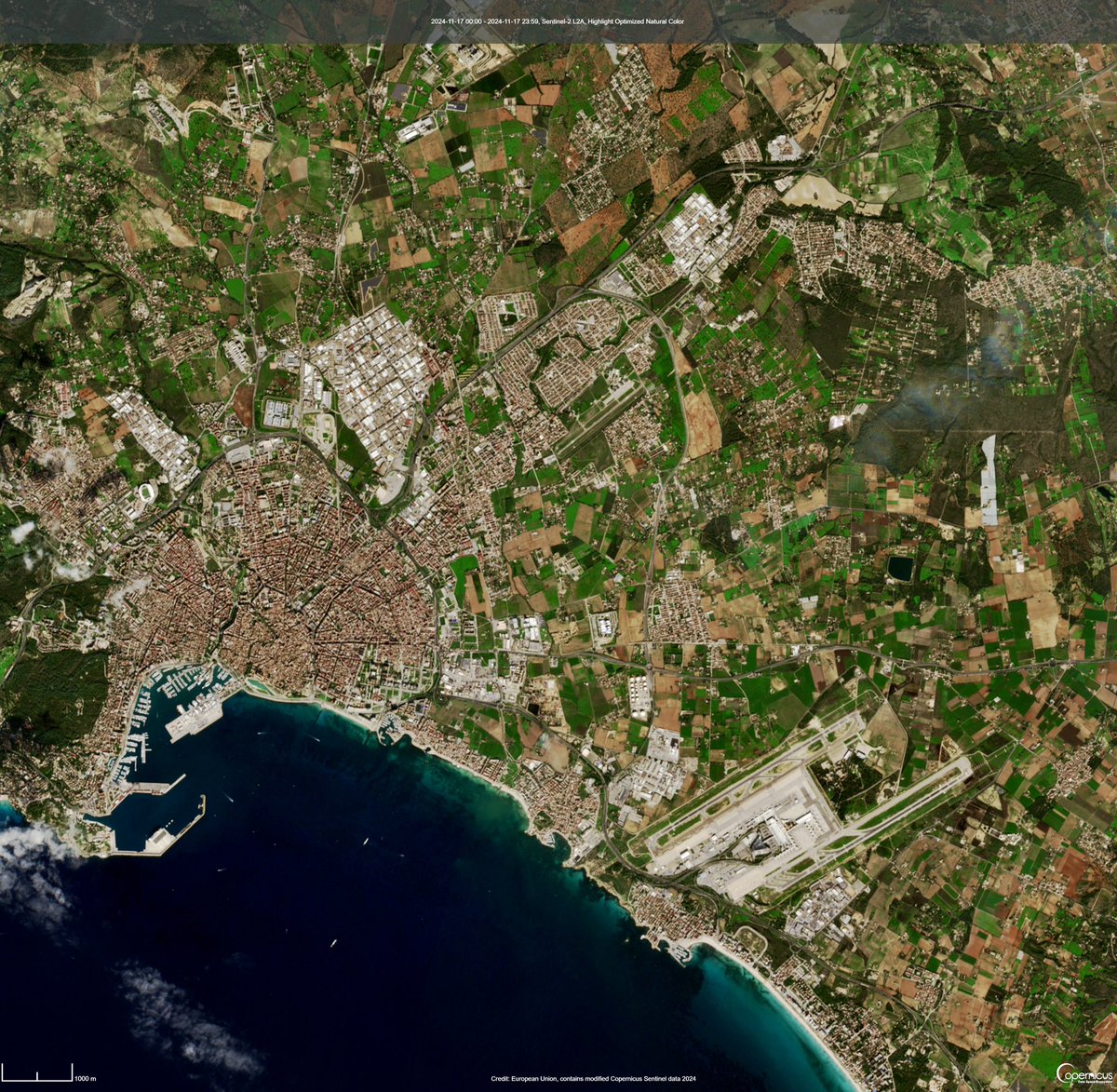 Palma muda la seva pell: fa un mes lluïa tons ocres, mostrant la dermis terrosa d'un estiu implacable. Avui, després de pluges generoses, la molsa la cobreix amb un verd vibrant. Imatges Satèl·lit Sentinel-2 dies 13/10 i 17/11.