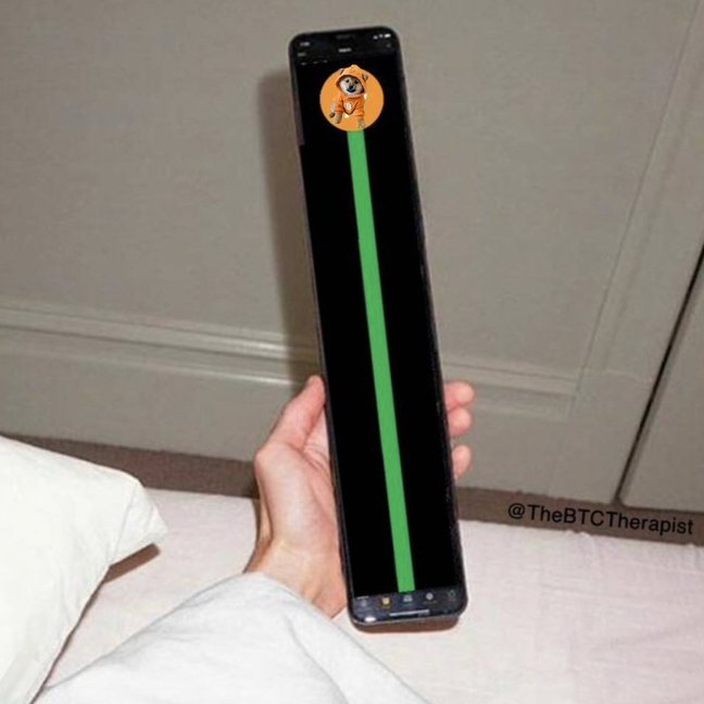 criptogump's tweet image. 