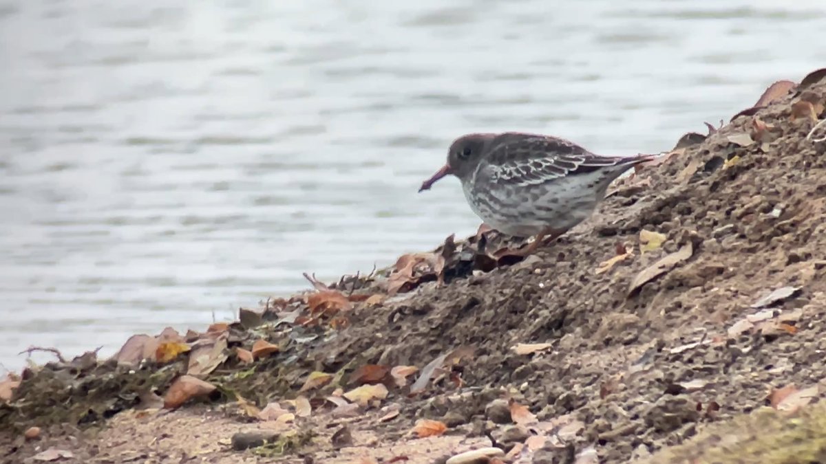 James Wilkinson tweet media