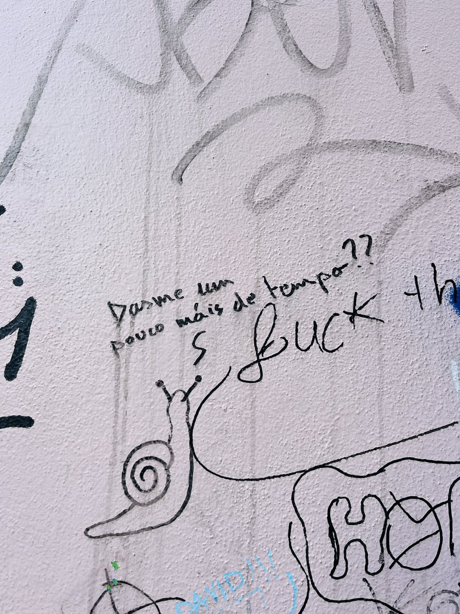 estela gómez tweet media