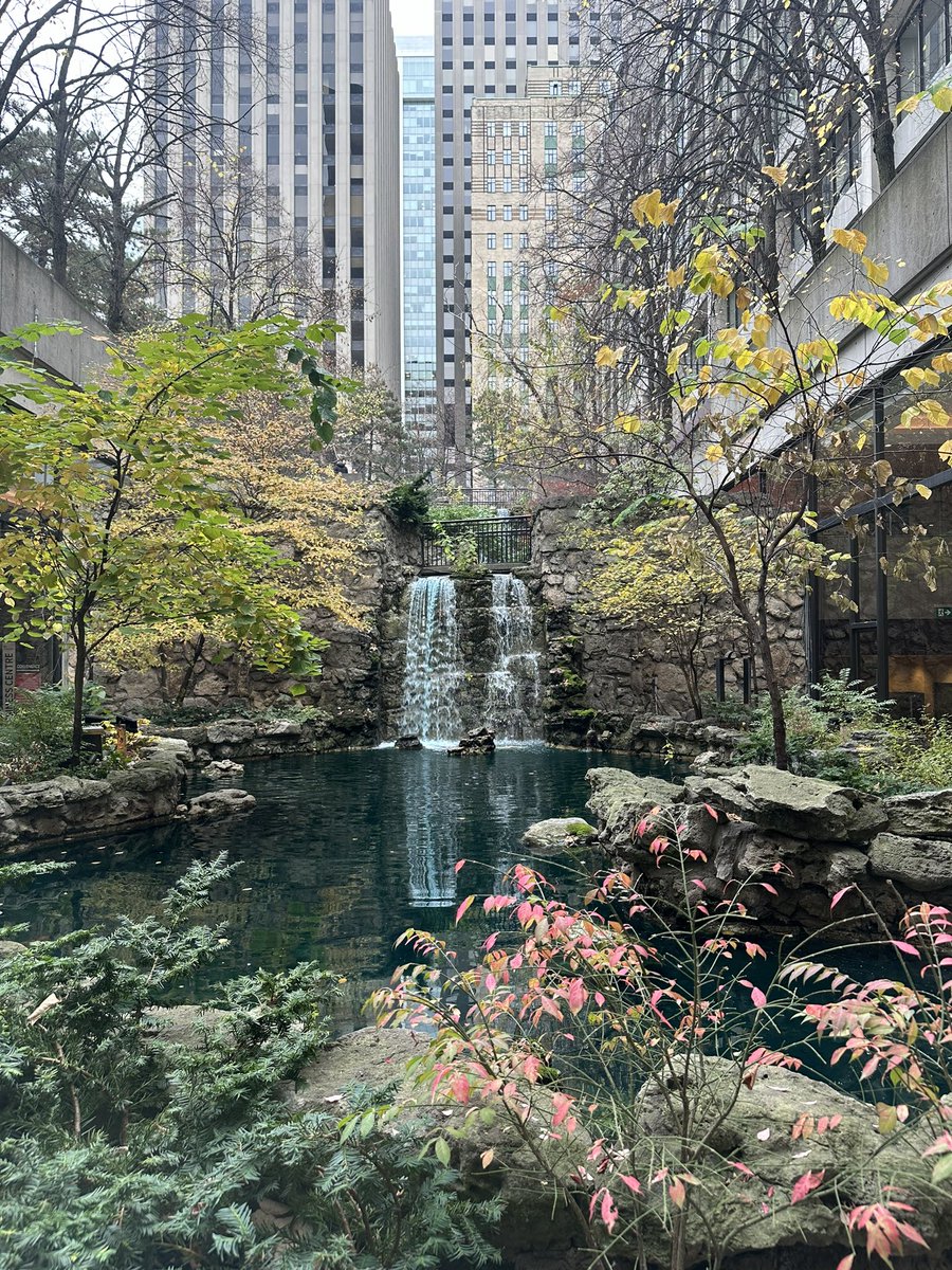 CCCForum's tweet image. Amidst the hustle of #CCCF, don’t forget to pause and recharge. 🌿☀️ The Sheraton’s Garden is the perfect spot to restore your balance and find your Zen. Take a moment to soak in the serenity. #zensation #demure #MindfulMoments #CriticalCare