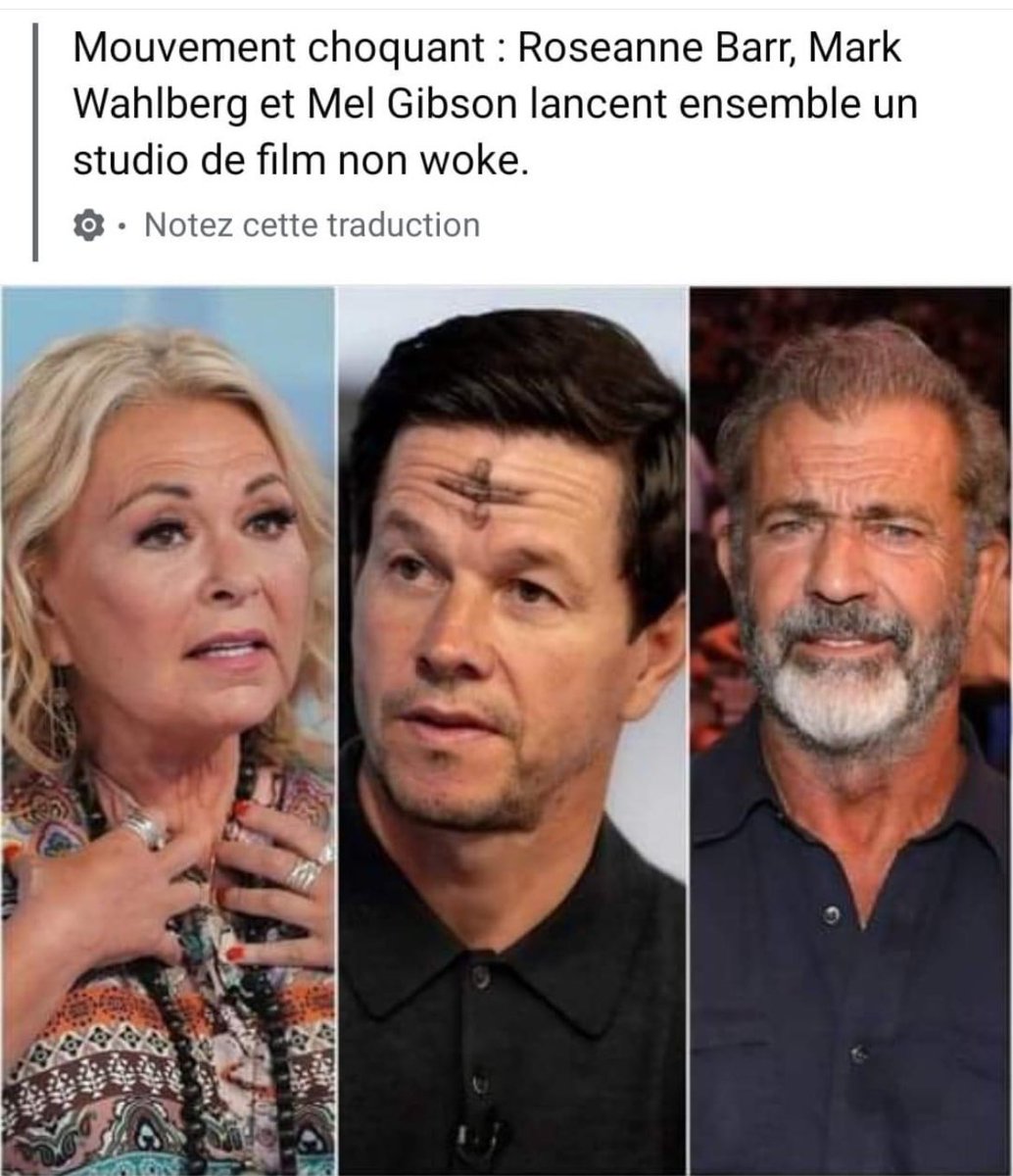 lisibgs's tweet photo. 👏👏👏👏👏 là je dis RESPECT A CES TROIS PERSONNALITÉS CINÉMATOGRAPHIQUE AMÉRICAINE 🇺🇸🥰🇺🇸🥰 … il est temps de mettre un terme à ce #Wokisme qui envahit nos écrans !!!! 
#MelGibson #RoseanneBarr #MarkWalberg https://t.co/6REdMa6lQn
