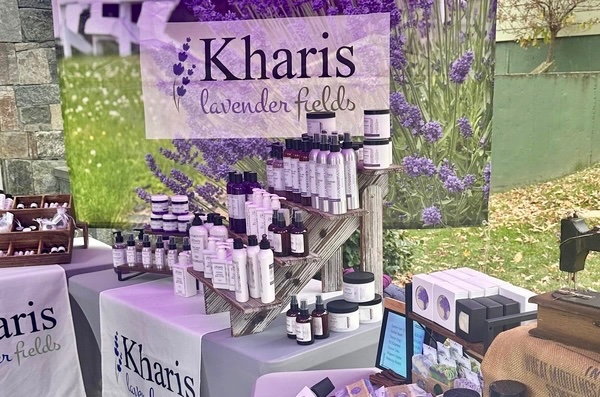 Sarah Wolek tweet media