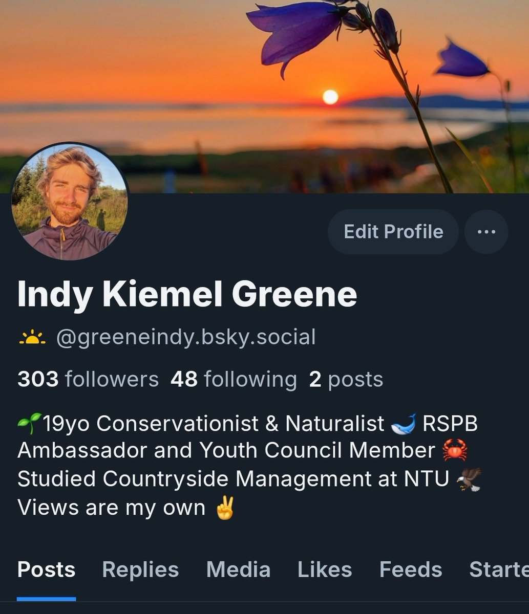 Indy Kiemel Greene tweet media