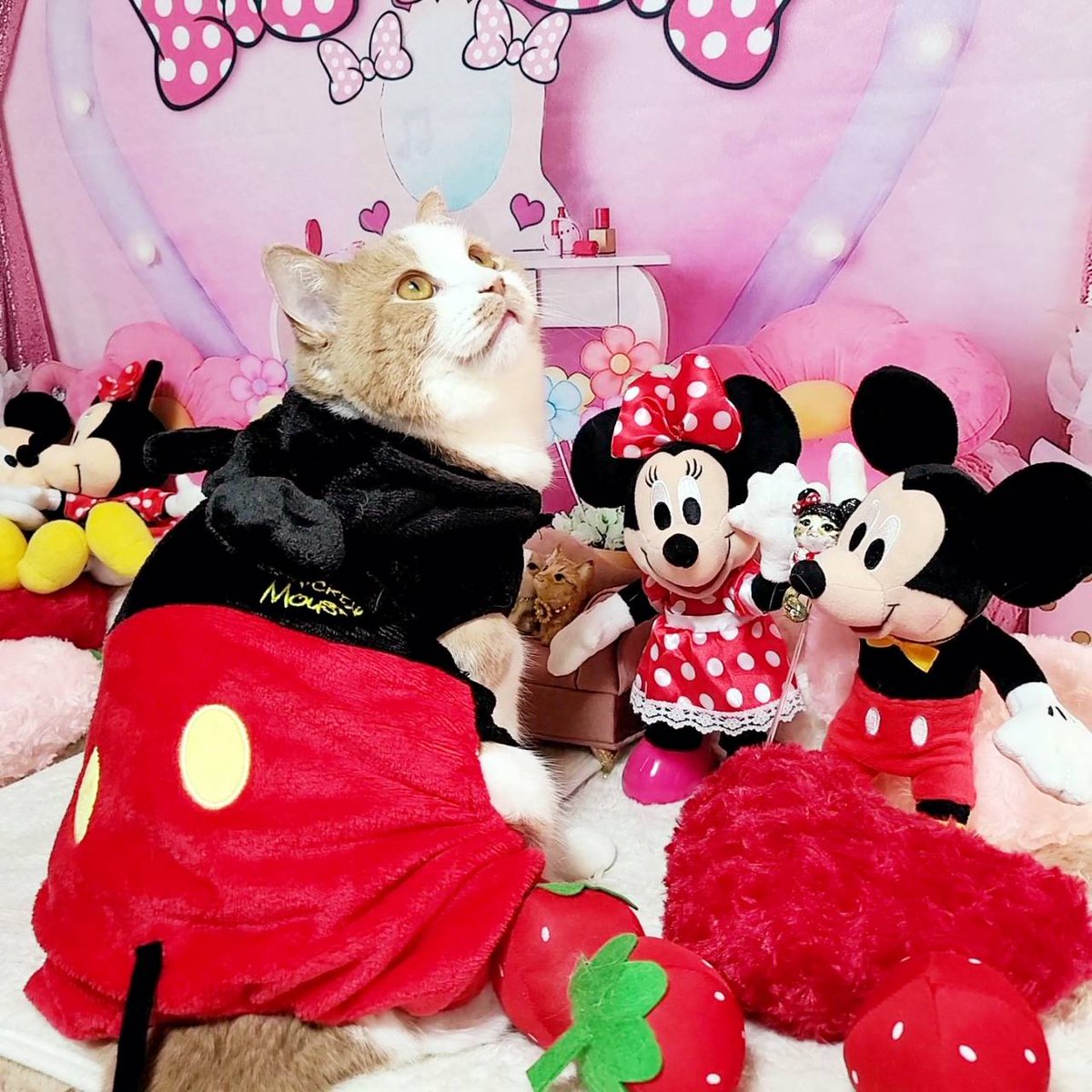 ミッキーミニー - Search / X