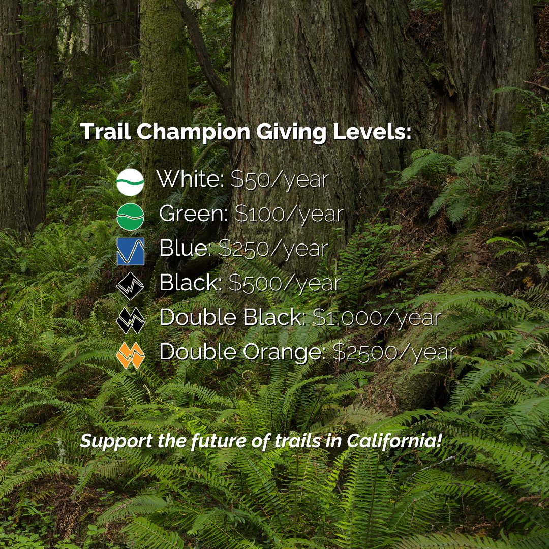 CAMTB.org tweet media