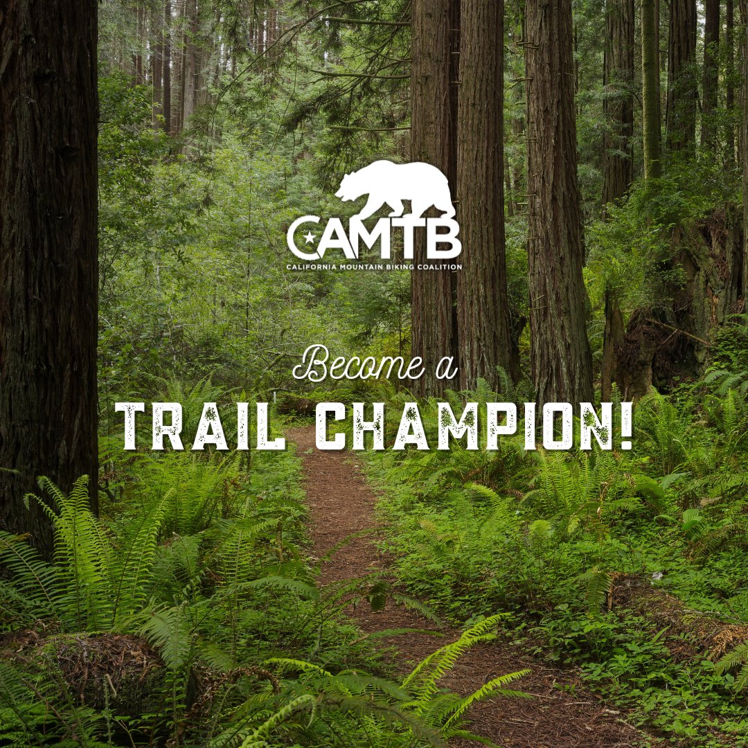 CAMTB.org tweet media