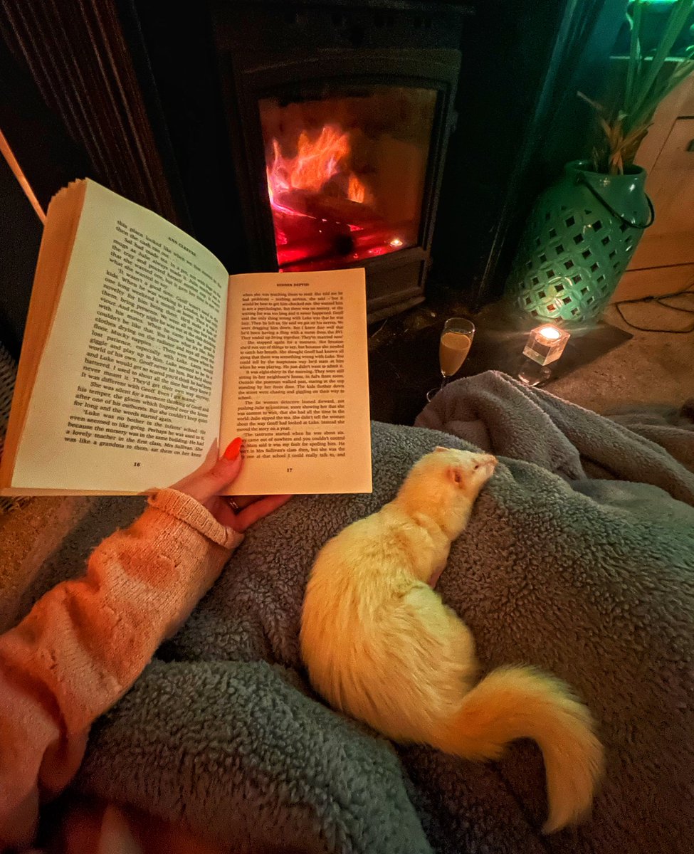 poppygibsonuk's tweet photo. The perfect evening 📕🐉🔥🕯️ https://t.co/6kMhrykzGa