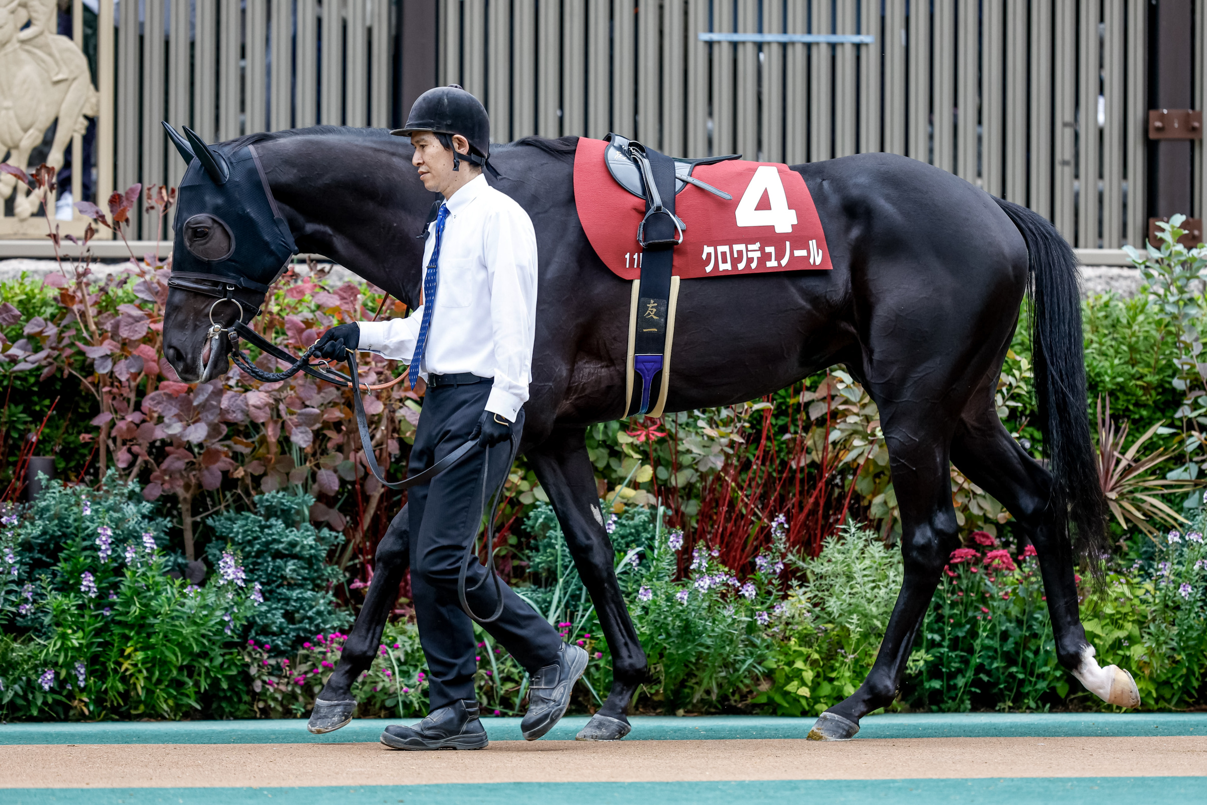 クロワデュノール　メイクデビュー東京　現地的中単勝馬券　東スポ杯2歳S制覇！ クロワデュノール メイクデビュー東京 現地的中単勝馬券 東スポ