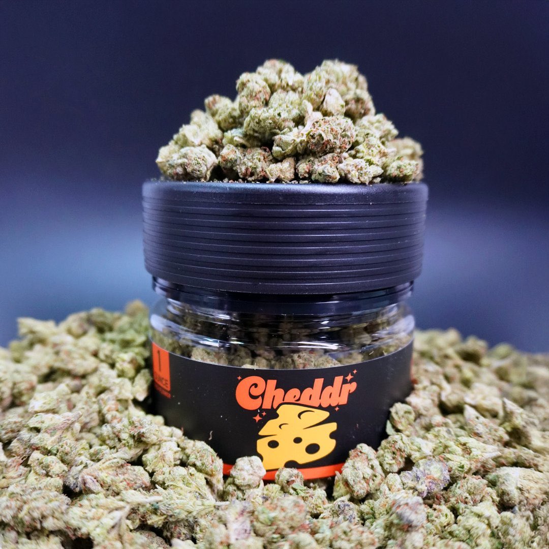 🚨🧀 FREE OZ GIVEAWAY! 🧀🚨

🏆 Win an Oz (28g) of exotic smalls 🏆

How to enter: 👇

• Follow <a href="/_StonersRUs_/">STONERS R US 🍃</a> 🧀
• Follow <a href="/Cheddrco_/">Cheddr</a> 🧀
• Like &amp; Repost 🧀
• Tag 3 Stoners 🧀

MUST DO ALL TO ENTER!

Ends in 72 hrs ⏳ - GOOD LUCK! 💚