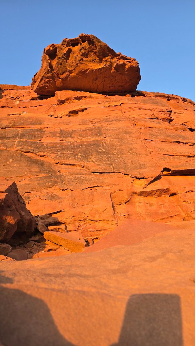 Hikingtaibah هايكنج طيبة tweet media