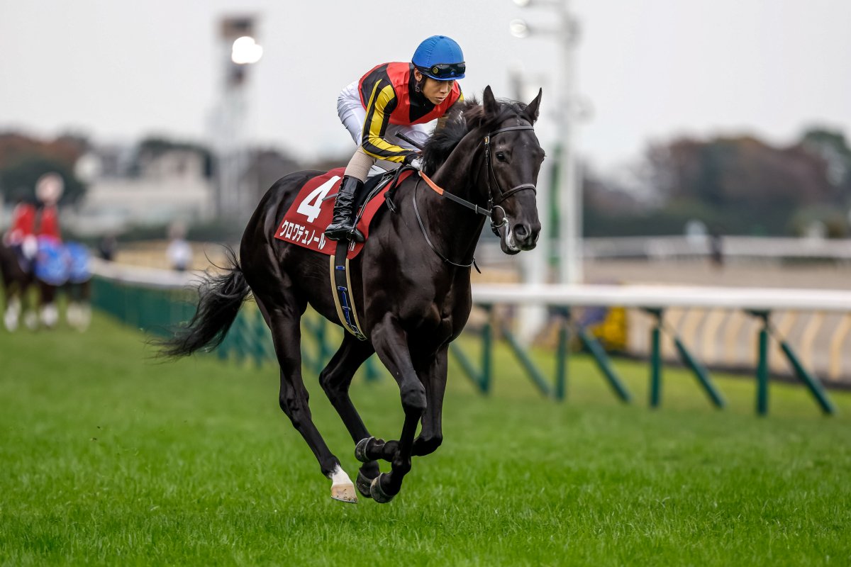 GALLOP 当選 クオカード ワグネリアン17東スポ2歳ステークス 復刻!!週刊Gallop表紙キーホルダー | サンスポe-shop