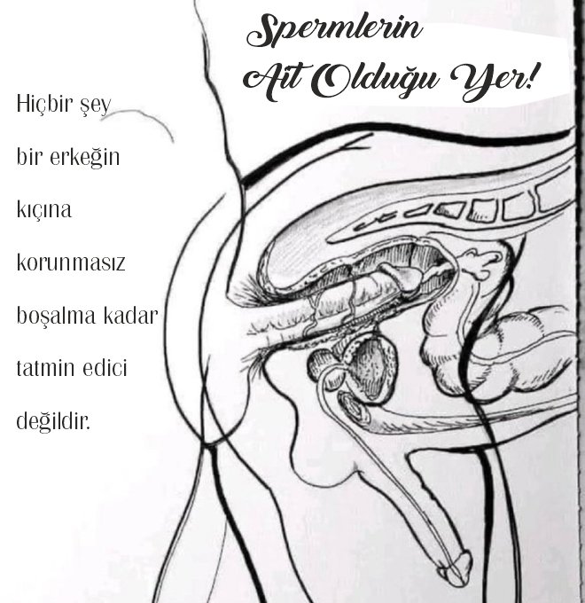 Şaiiir demiş olabilir