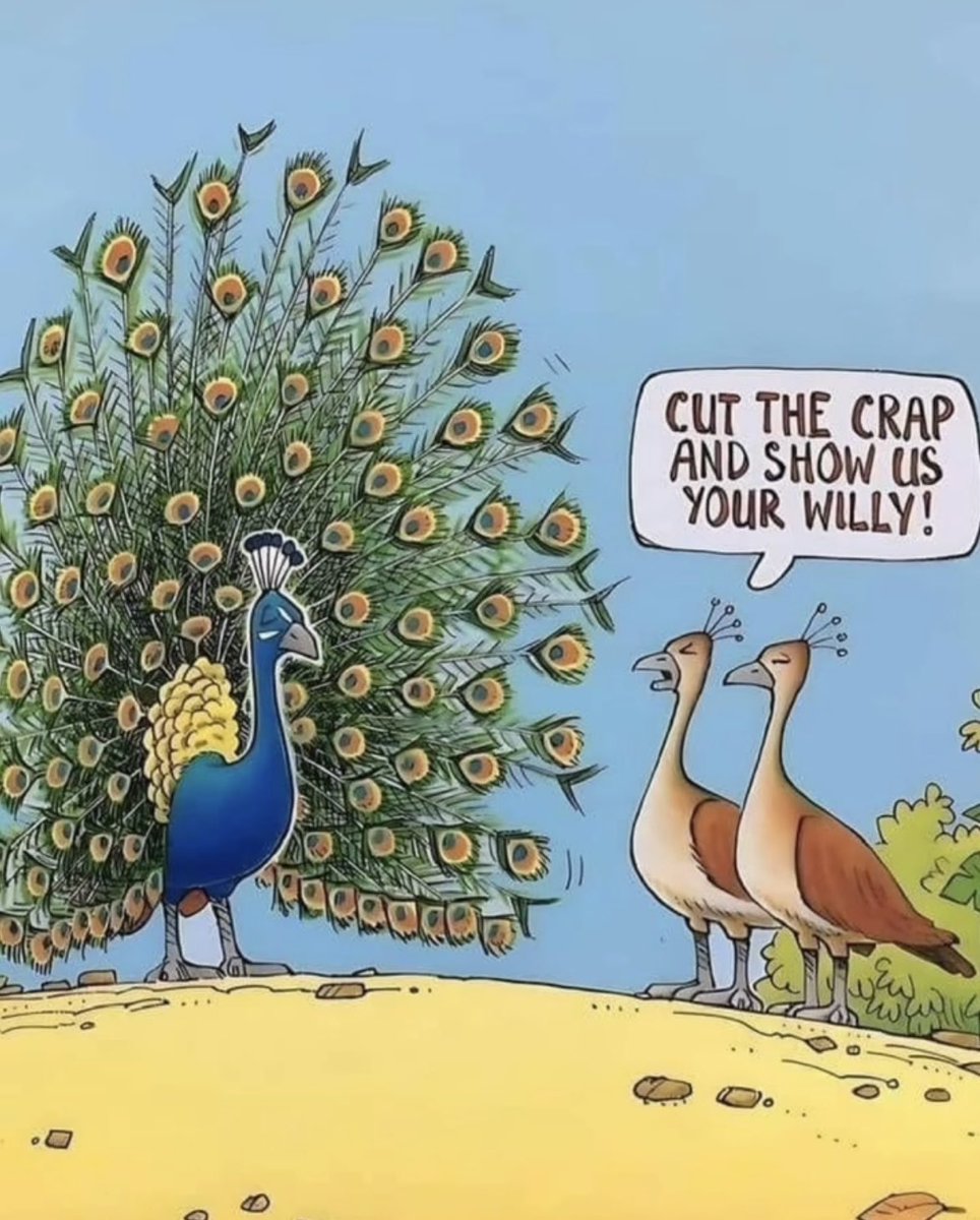 2Tone4Real's tweet photo. 🦚 🍆 https://t.co/I5YAcu4wiM