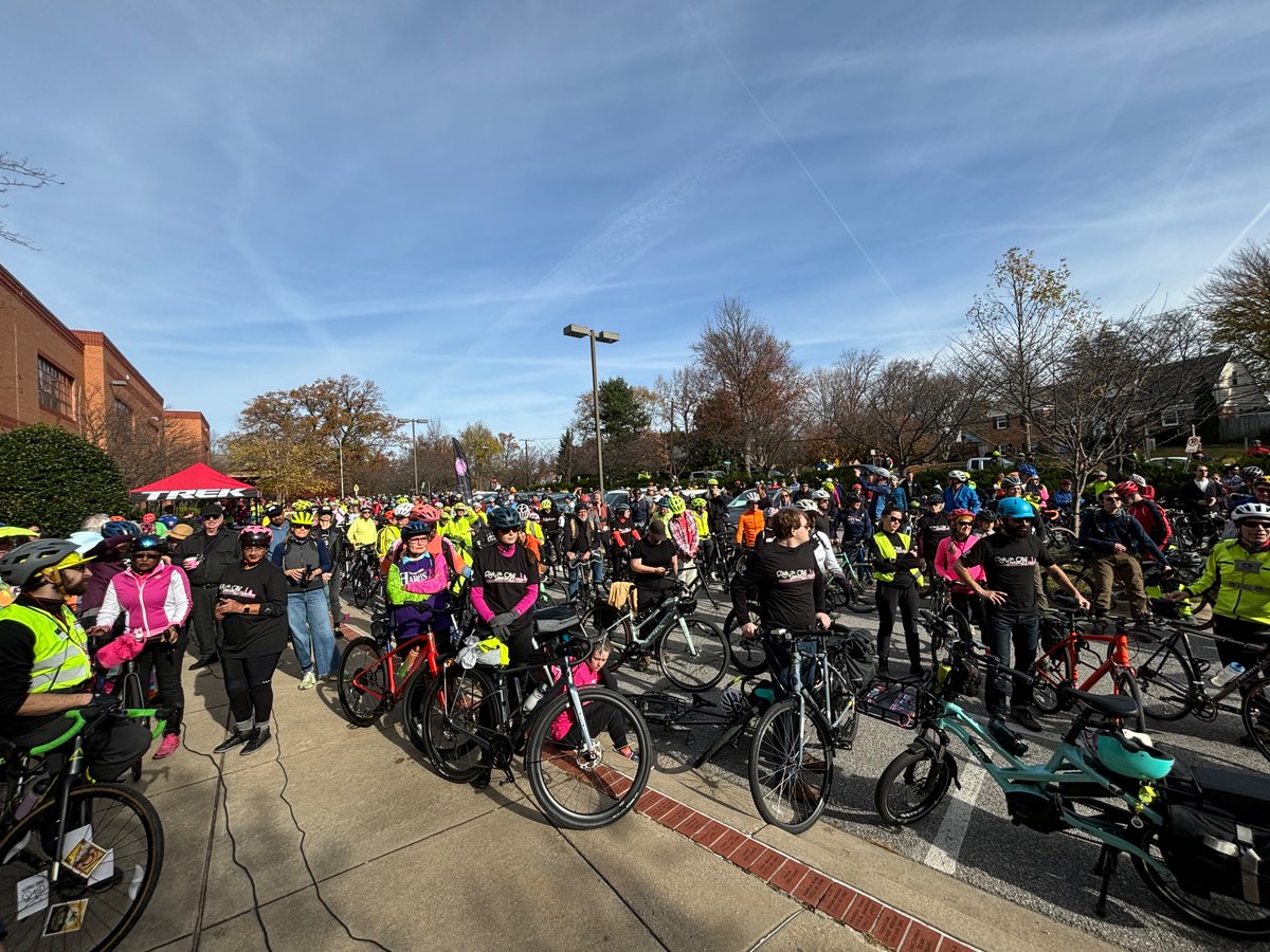 Sarah Wolek tweet media